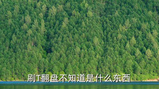 刷T翻盤不知道是什么東西