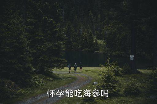 懷孕吃海參，孕婦可以吃海參嗎