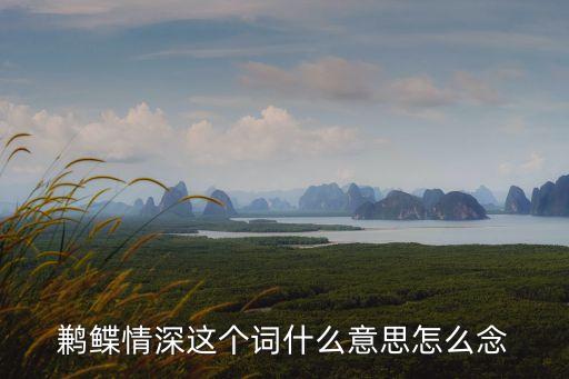 鶼鰈情深，鶼鰈情深這個詞什么意思怎么念