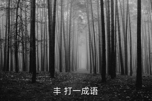 豐字成語，豐 打一成語