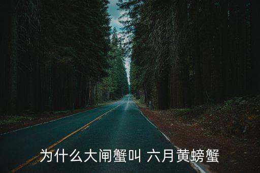 六月黃的做法,六月黃走出淡濱海灣回鍋肉厚黃不能蒸