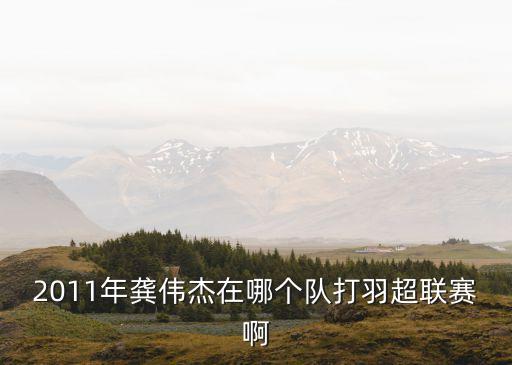 龔偉杰，2011年龔偉杰在哪個隊打羽超聯賽啊