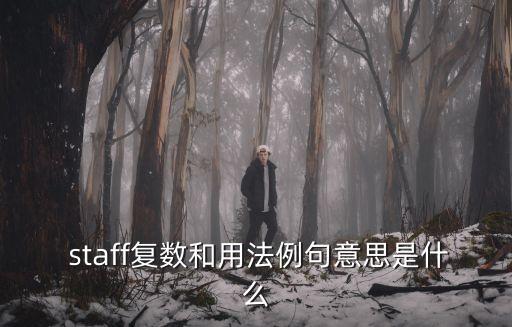  staff復數和用法例句意思是什么