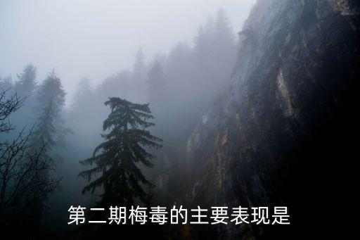 二期梅毒癥狀，二期梅毒有什么樣的癥狀