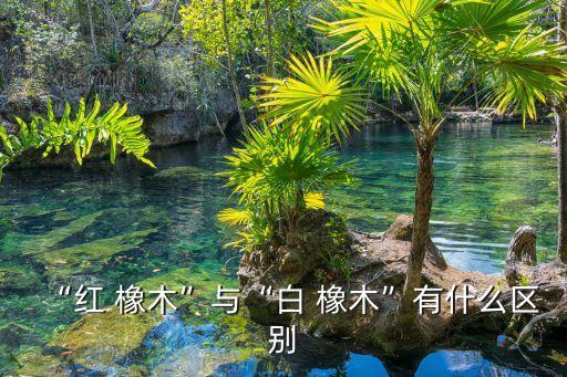 白橡木,白橡木更適合做木制品或家具矮腳橡木較粗