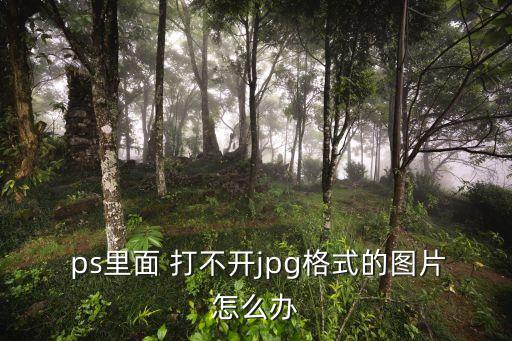 ps打不開圖片,photoshop打不開怎么辦?