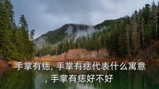 手掌長痣,手掌有痣意味代表2:有錢有勢