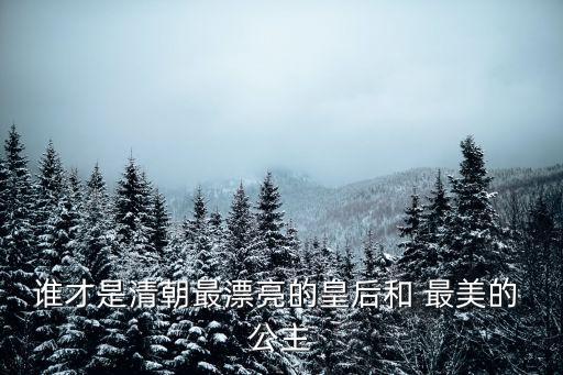 誰(shuí)才是清朝最漂亮的皇后和 最美的 公主