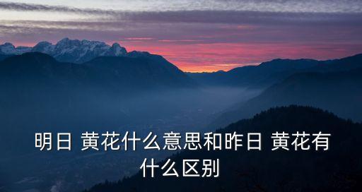  明日 黃花什么意思和昨日 黃花有什么區別