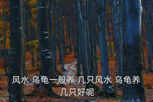烏龜養幾只比較吉利,家里養七只烏龜，代表吉利