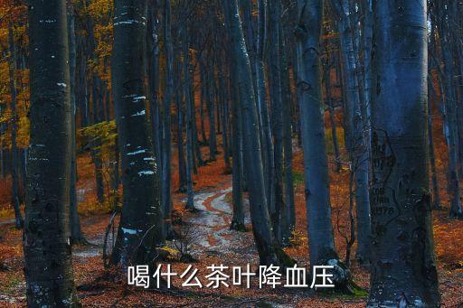 喝什么茶能降血壓，喝什么茶葉降血壓