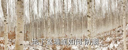 地下室防潮處理,地下室防潮裝修要注意什么?