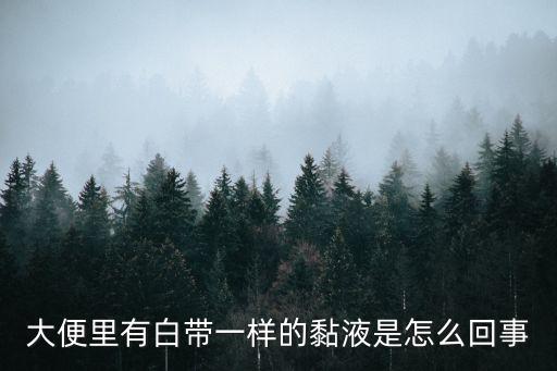 大便里有白帶一樣的黏液是怎么回事