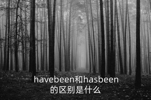  havebeen和hasbeen的區別是什么