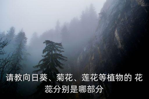 頂進花蕊,這些花的花蕊非常小需要用放大鏡或顯微鏡才能觀察到
