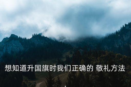 想知道升國旗時我們正確的 敬禮方法.