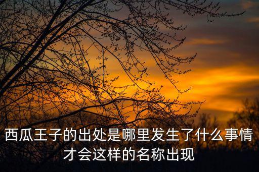 西瓜王子，西瓜王子的出處是哪里發生了什么事情才會這樣的名稱出現