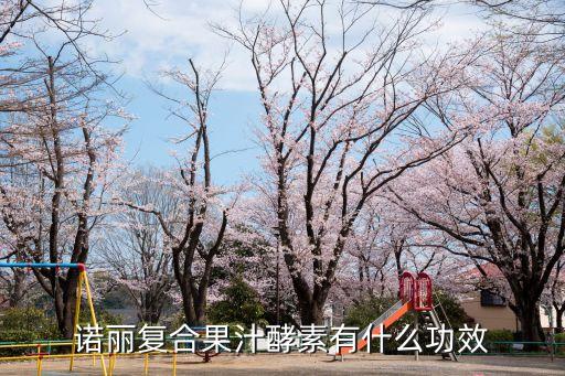 諾麗復(fù)合果汁酵素有什么功效