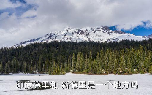 印度新德里,印度新德里是國家行政和經濟中心