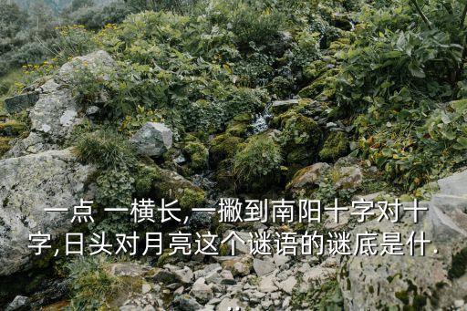  一點 一橫長,一撇到南陽十字對十字,日頭對月亮這個謎語的謎底是什...