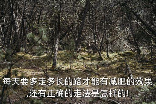 每天要多走多長的路才能有減肥的效果,還有正確的走法是怎樣的!