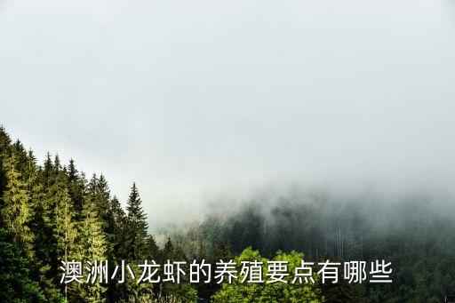 澳洲淡水小龍蝦，澳洲淡水小龍蝦吃什么
