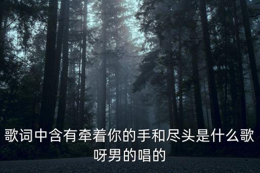 歌詞中含有牽著你的手和盡頭是什么歌呀男的唱的