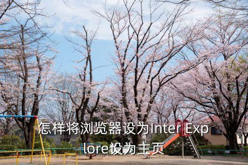 怎樣將瀏覽器設(shè)為Inter Explore設(shè)為主頁