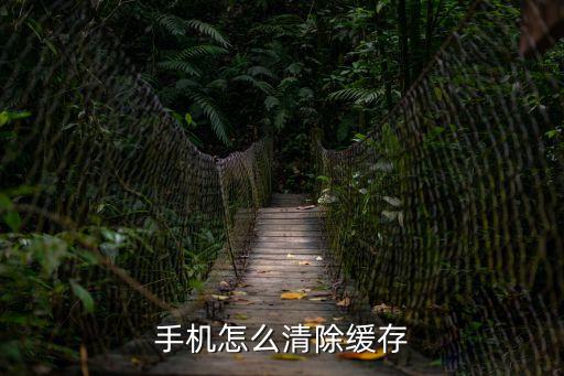 手機怎么清除緩存