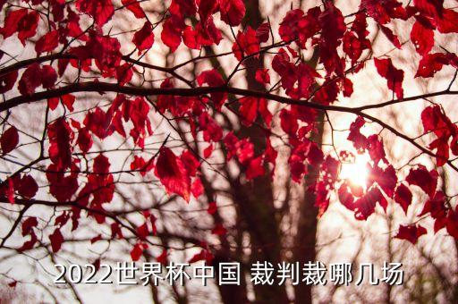 中國裁判,世界杯中國裁判西班牙對陣哥斯達黎加法國對陣丹麥