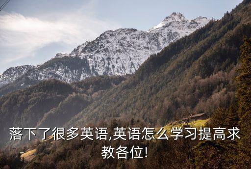 落下了很多英語,英語怎么學習提高求教各位!