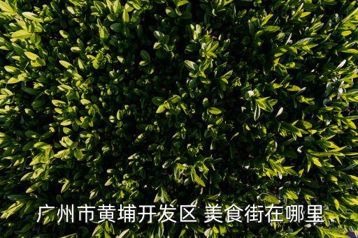 廣州美食街,廣州黃埔開發區美食街:上下九步行街最好