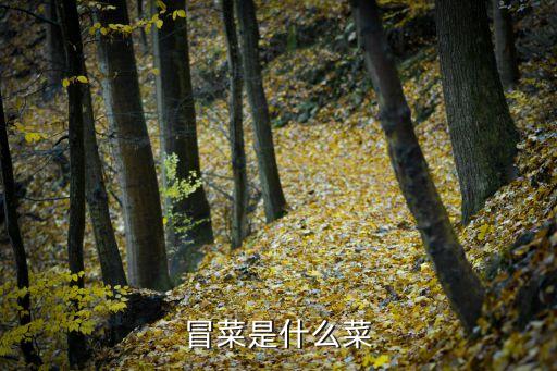冒菜是什么菜