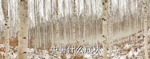 中暑什么癥狀,omen中暑可能出現(xiàn)口渴頭暈、耳鳴等癥狀