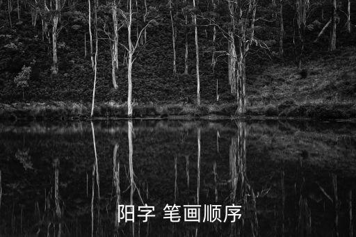 陽字筆畫,第二集:陽光照亮我的心