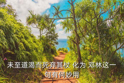 化為鄧林,棄杖化為桃林夸父的結局有何不同?