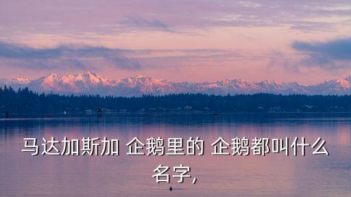 馬達加斯加 企鵝里的 企鵝都叫什么名字,
