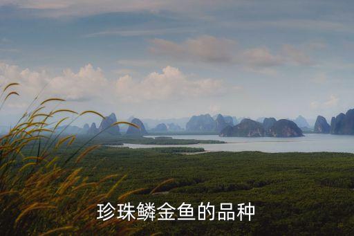 珍珠鱗金魚的品種