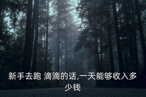 跑滴滴一天能掙多少錢,一天600元網(wǎng)約車司機(jī)補(bǔ)貼多賺的多