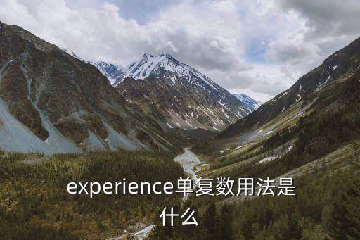 experience可數(shù)嗎