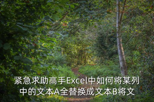 緊急求助高手Excel中如何將某列中的文本A全替換成文本B將文