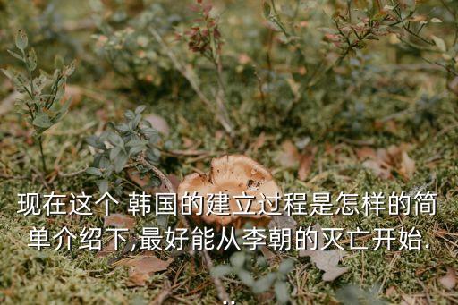 現(xiàn)在這個(gè) 韓國的建立過程是怎樣的簡單介紹下,最好能從李朝的滅亡開始...