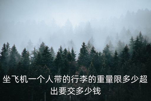 坐飛機(jī)一個(gè)人帶的行李的重量限多少超出要交多少錢(qián)