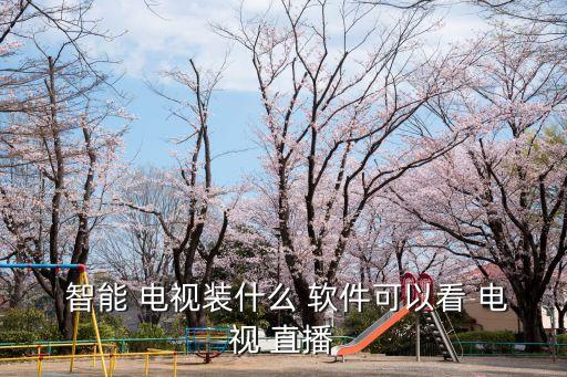  智能 電視裝什么 軟件可以看 電視 直播