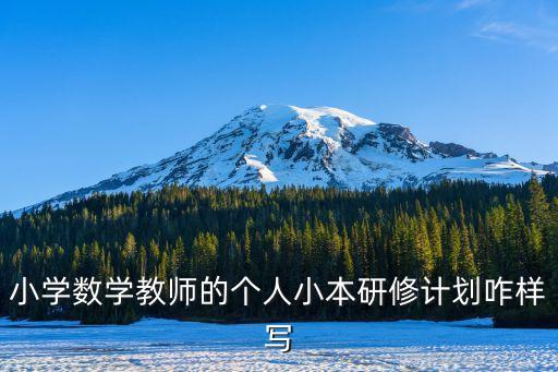 小學數(shù)學教師的個人小本研修計劃咋樣寫