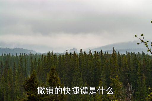 撤銷(xiāo)的快捷鍵是什么
