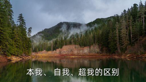 自我和本我的區(qū)別,弗洛伊德:自我是馬車夫自我也是馬