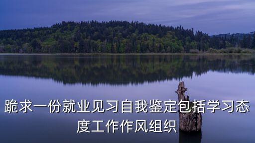見習期自我鑒定，實習自我鑒定怎么寫啊