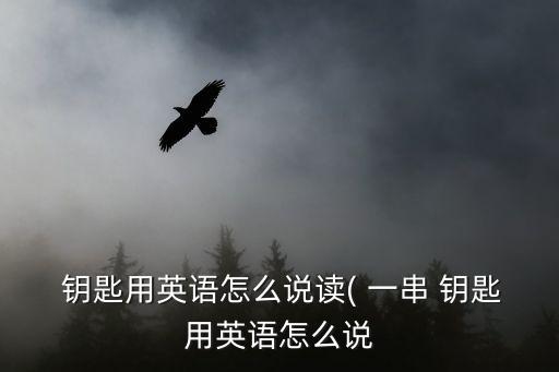  鑰匙用英語怎么說讀( 一串 鑰匙用英語怎么說