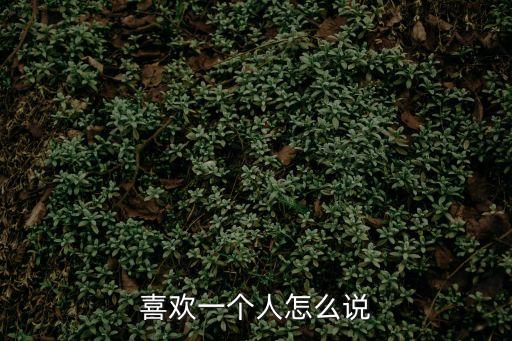 喜歡一個人怎么說